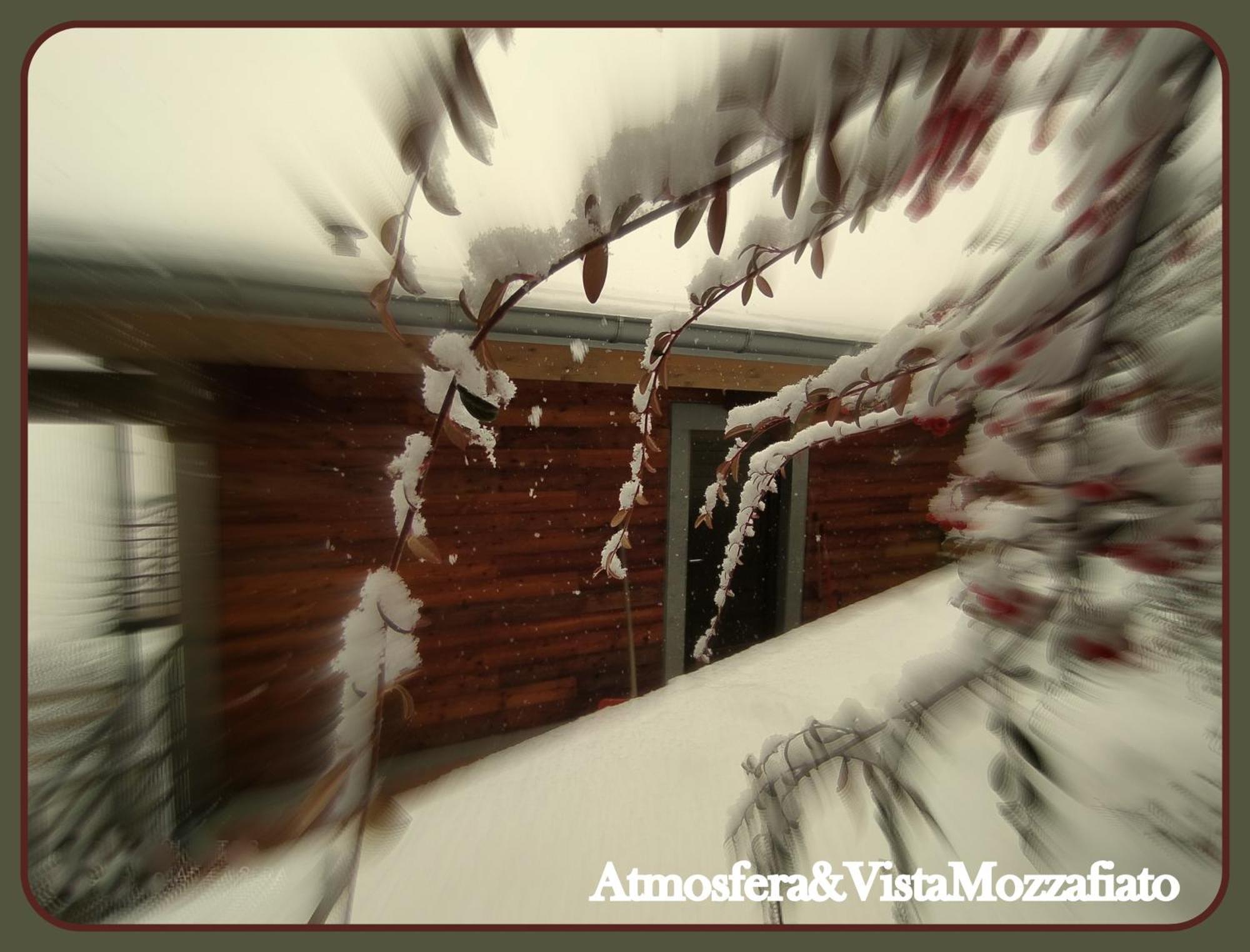 Atmosfera E Vista Mozzafiato Chalets อาออสตา ห้อง รูปภาพ
